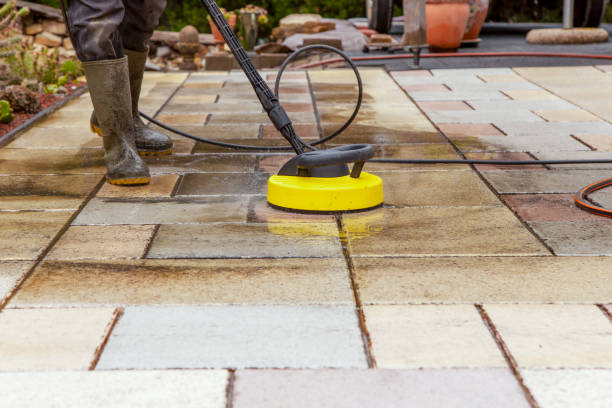 Best Animal Enclosure Cleaning  in Dunbar, SC